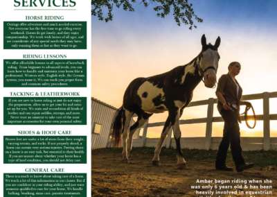 Equine Brochure